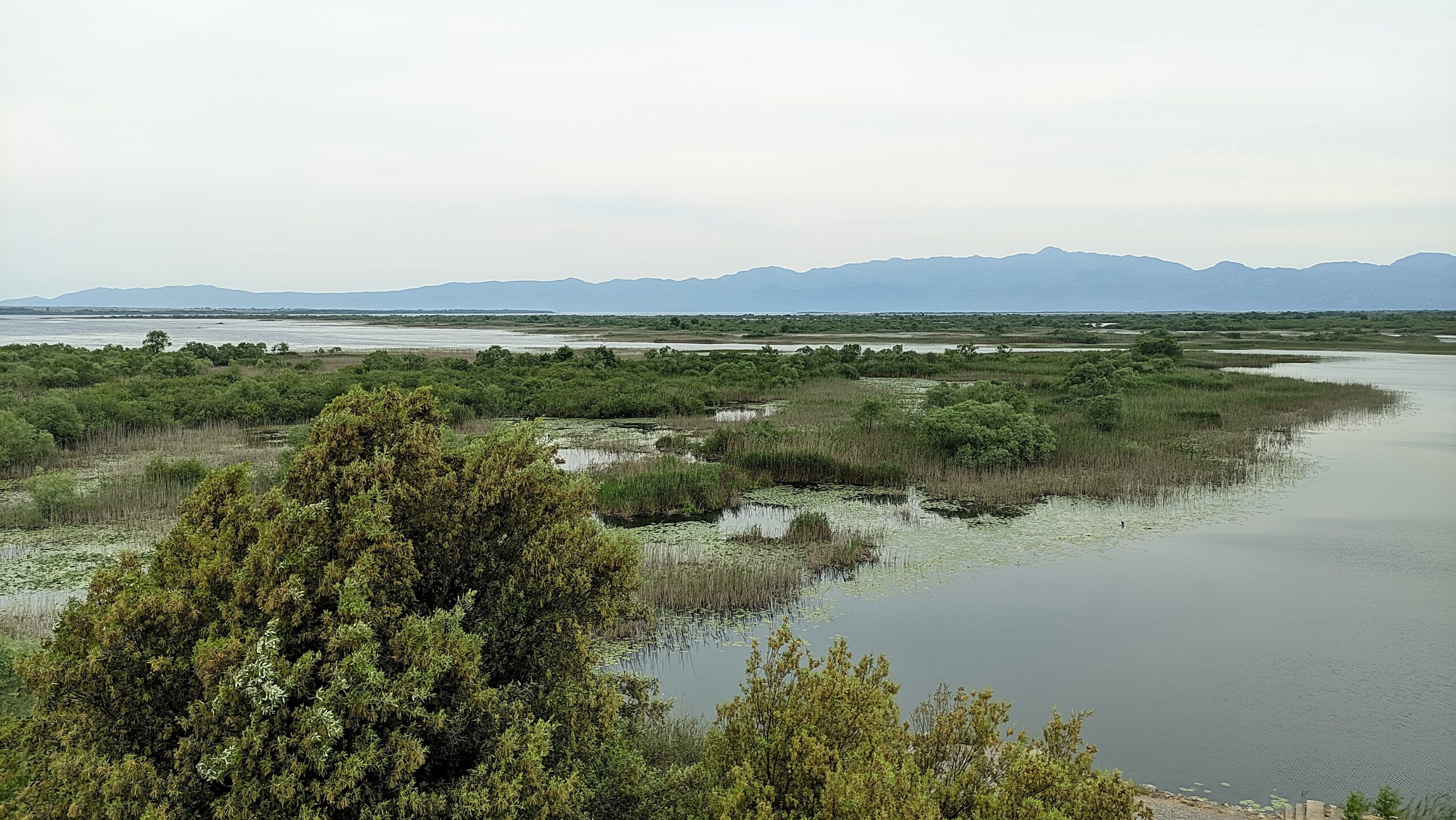 Czarnogóra
